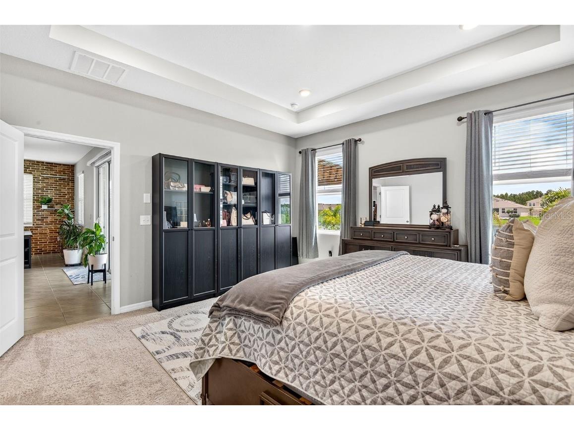 8382 Bower Bass Circle Wesley Chapel FL 33545 TB8458910 image22