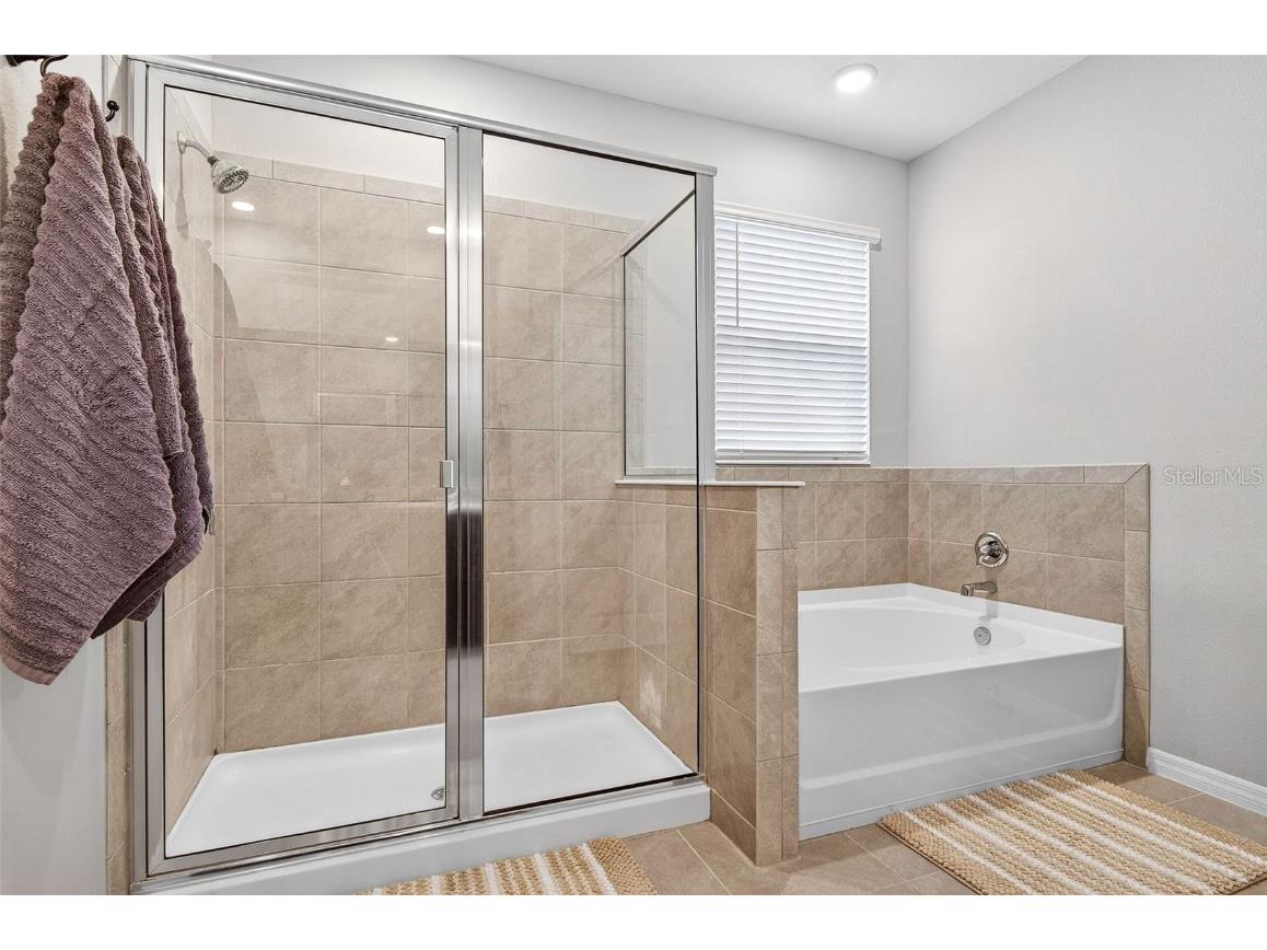 8382 Bower Bass Circle Wesley Chapel FL 33545 TB8458910 image24