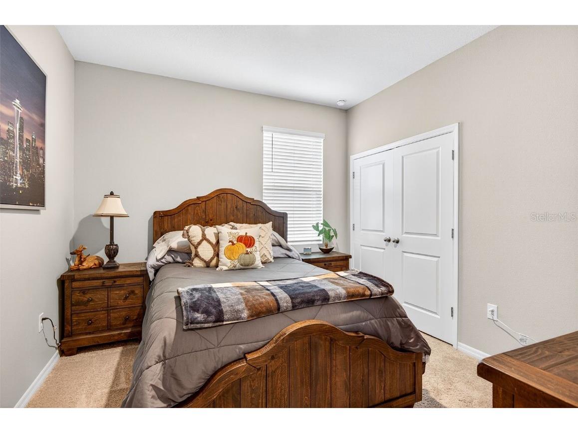 8382 Bower Bass Circle Wesley Chapel FL 33545 TB8458910 image27