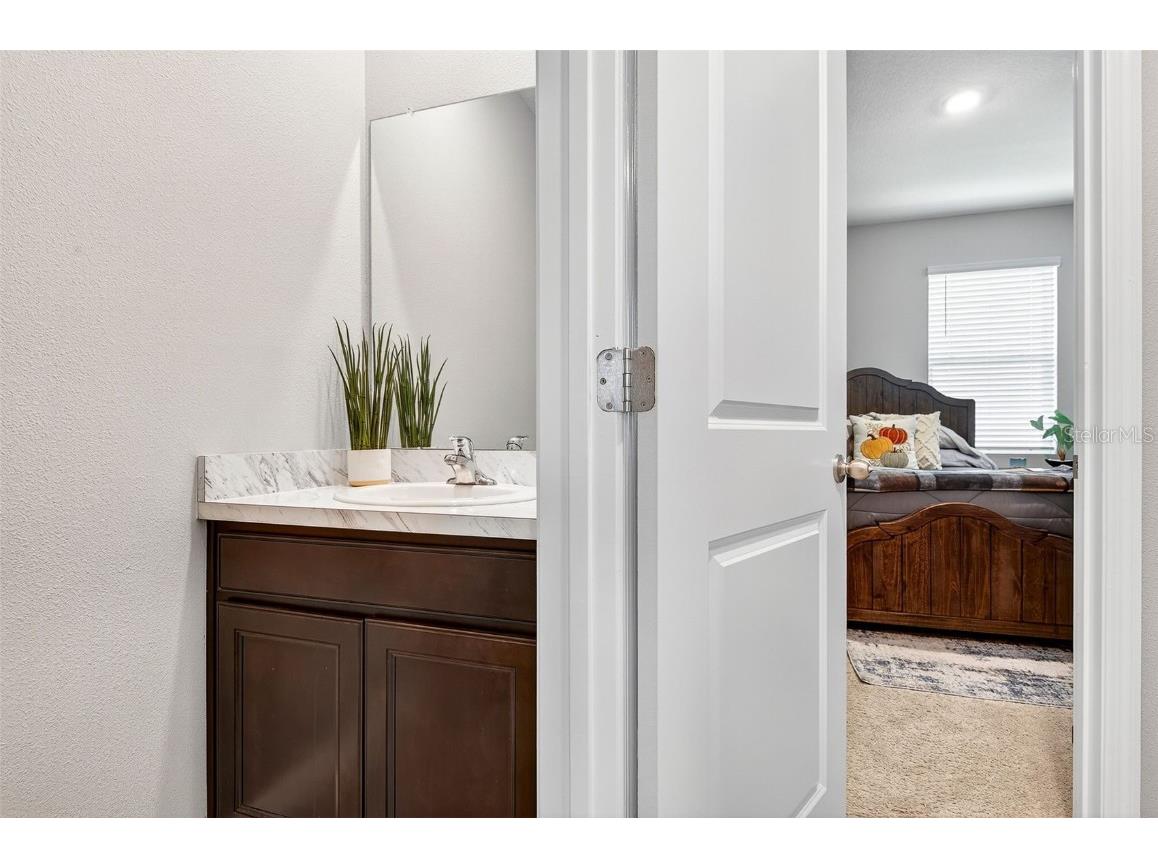 8382 Bower Bass Circle Wesley Chapel FL 33545 TB8458910 image28