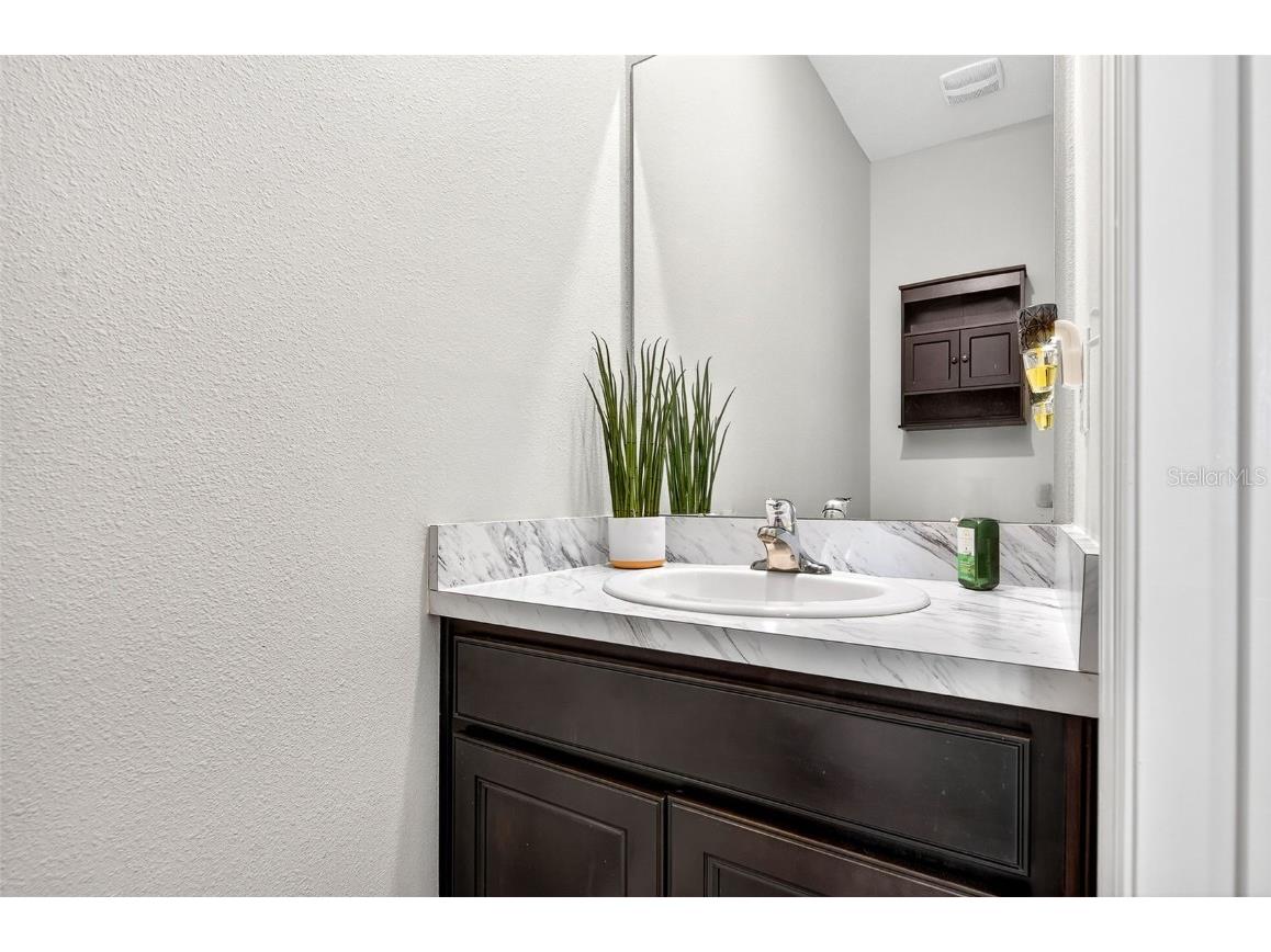 8382 Bower Bass Circle Wesley Chapel FL 33545 TB8458910 image29