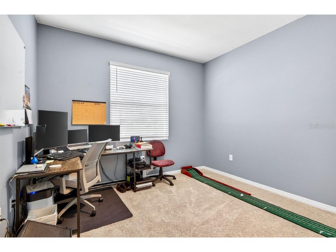 8382 Bower Bass Circle Wesley Chapel FL 33545 TB8458910 image30