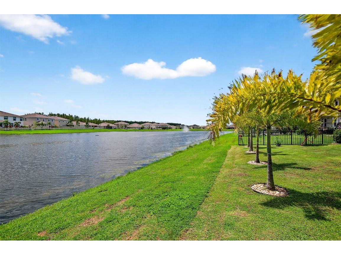 8382 Bower Bass Circle Wesley Chapel FL 33545 TB8458910 image40