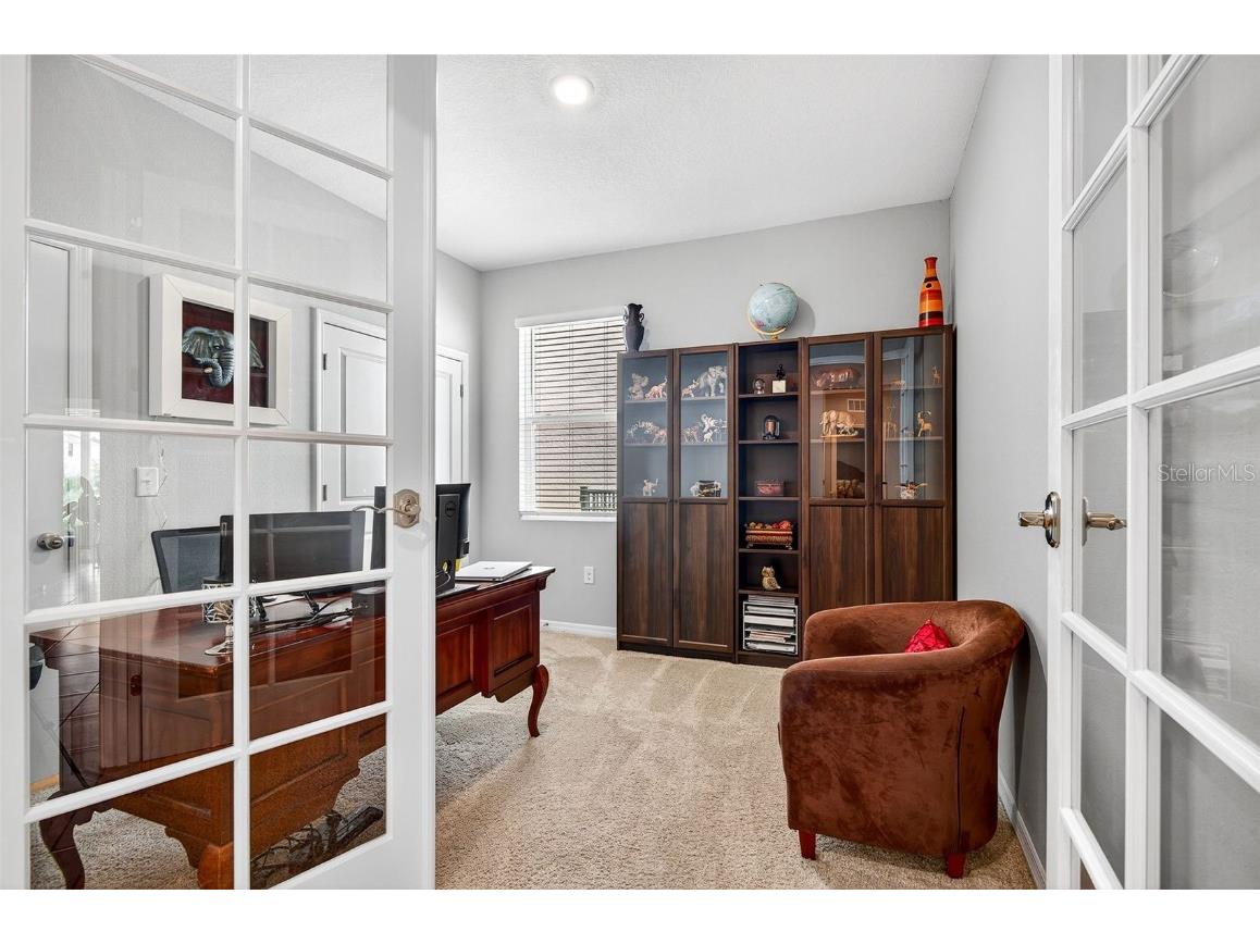 8382 Bower Bass Circle Wesley Chapel FL 33545 TB8458910 image5