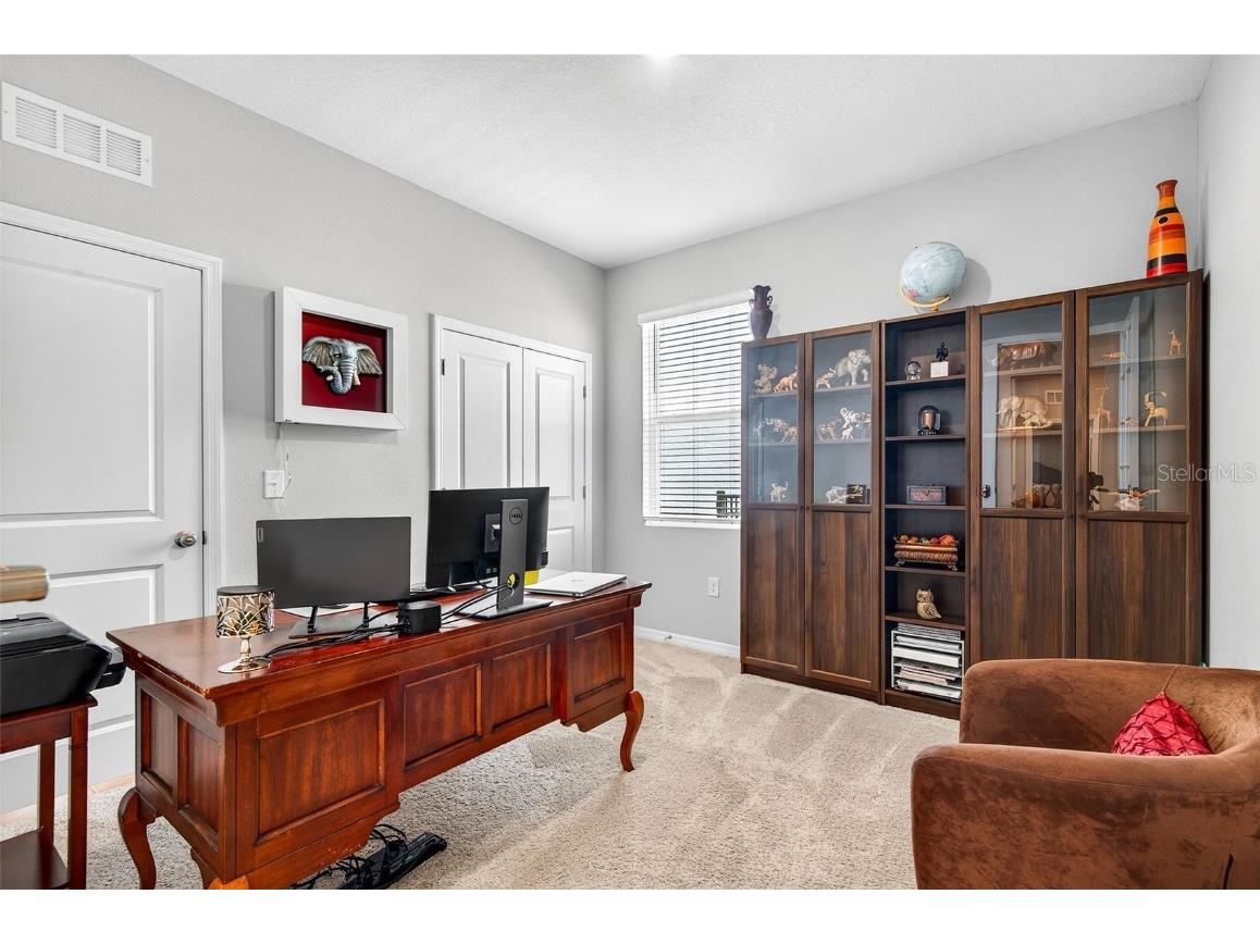 8382 Bower Bass Circle Wesley Chapel FL 33545 TB8458910 image6