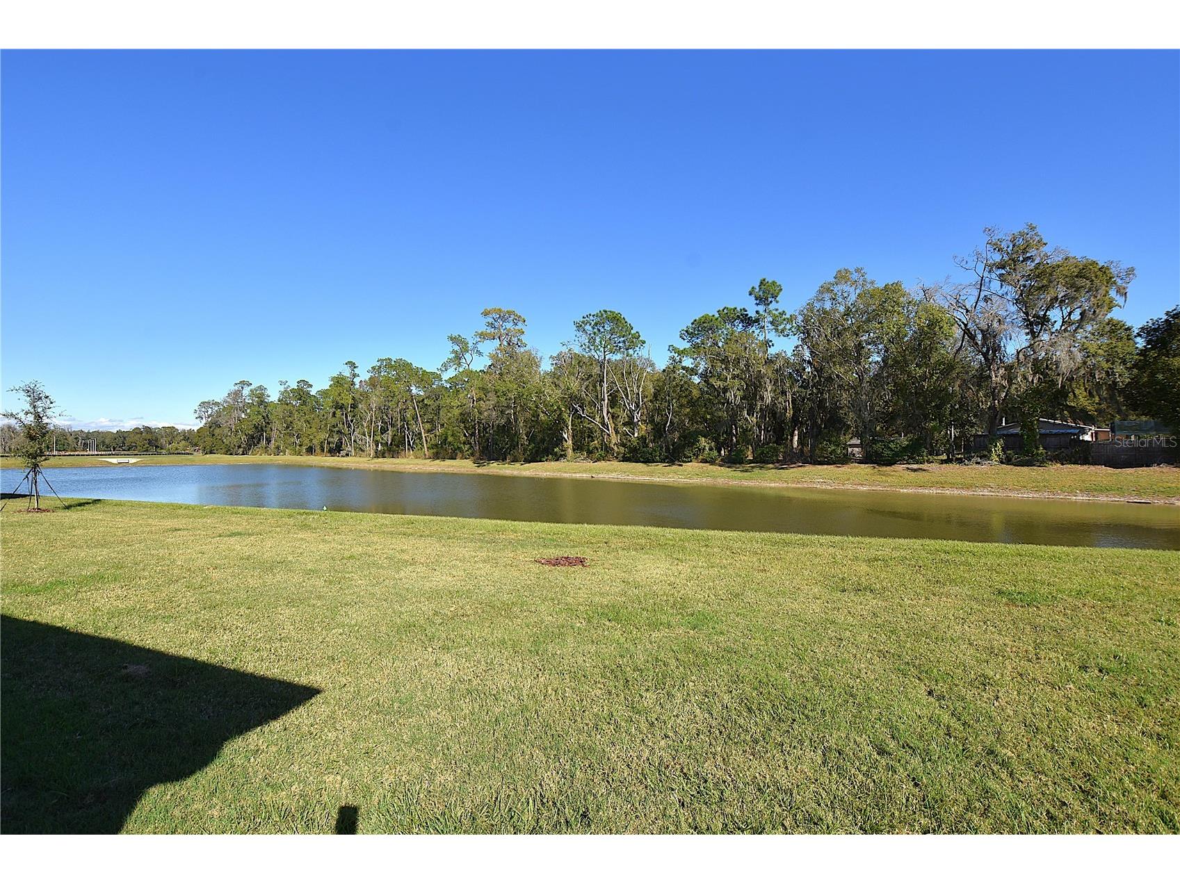 8383 Madrid Street Lakeland FL 33810 L4958137 image8