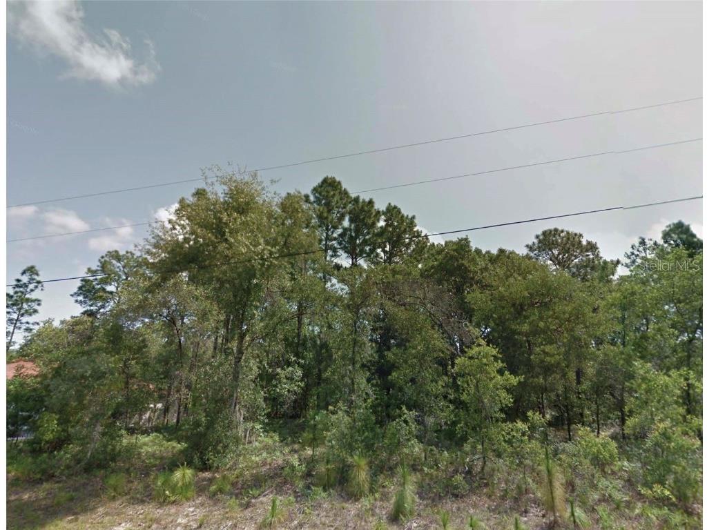 8383 N Manuetta Drive Citrus Springs FL 34434 O6363251 image1