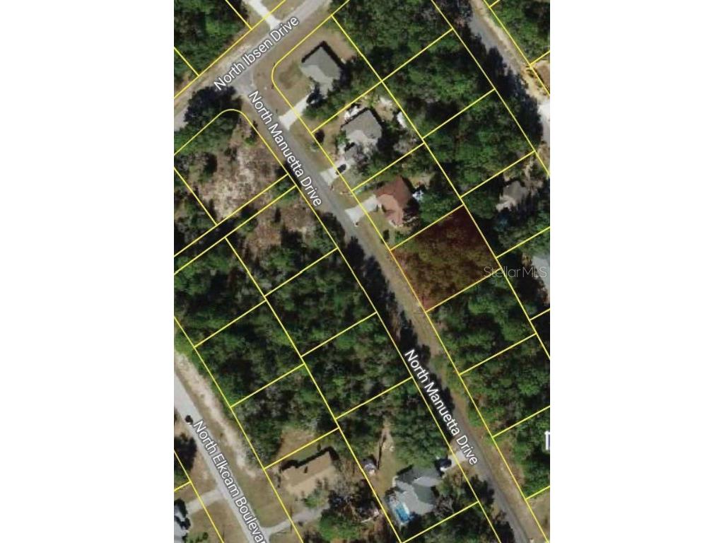 8383 N Manuetta Drive Citrus Springs FL 34434 O6363251 image2