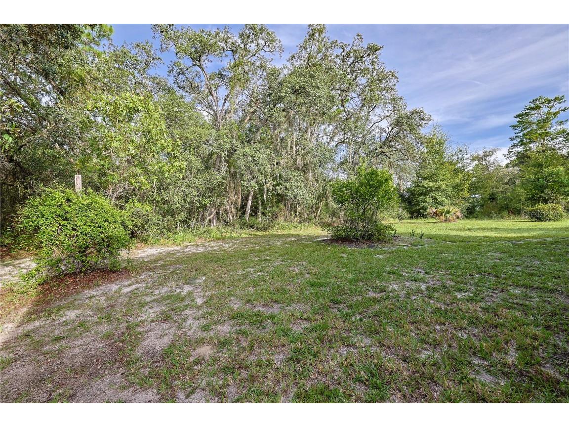 8384 N Trojan Drive Citrus Springs FL 34433 OM706838 image38
