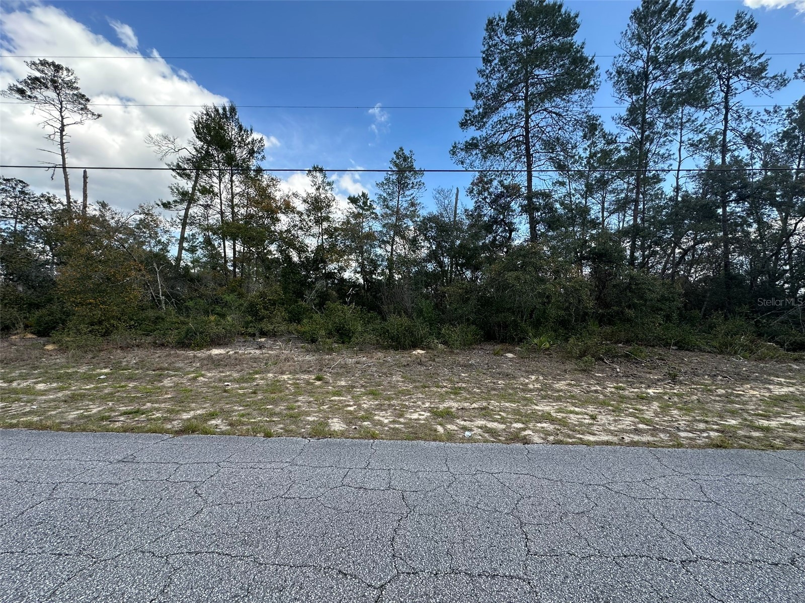 8385 N Farrington Drive Citrus Springs FL 34433 OM719811 image1