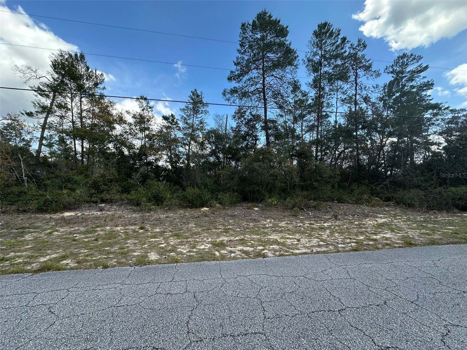 8385 N Farrington Drive Citrus Springs FL 34433 OM719811 image2