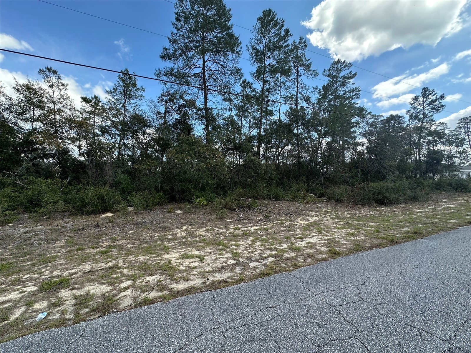 8385 N Farrington Drive Citrus Springs FL 34433 OM719811 image3