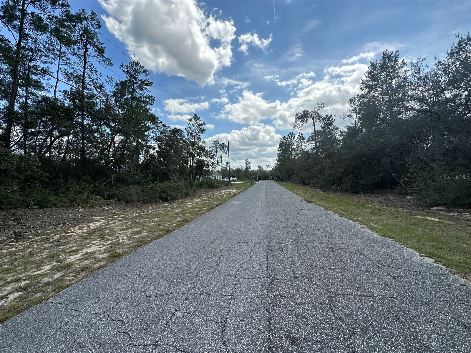 8385 N Farrington Drive Citrus Springs FL 34433 OM719811 image4