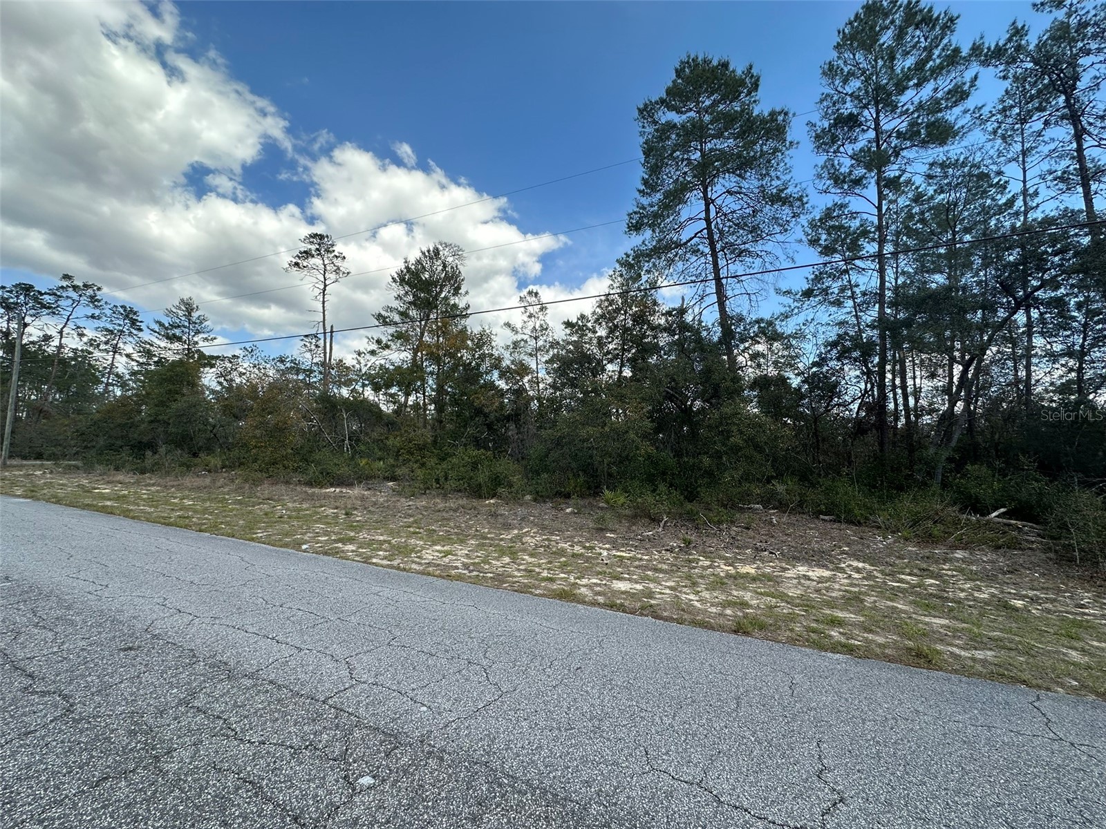8385 N Farrington Drive Citrus Springs FL 34433 OM719811 image6