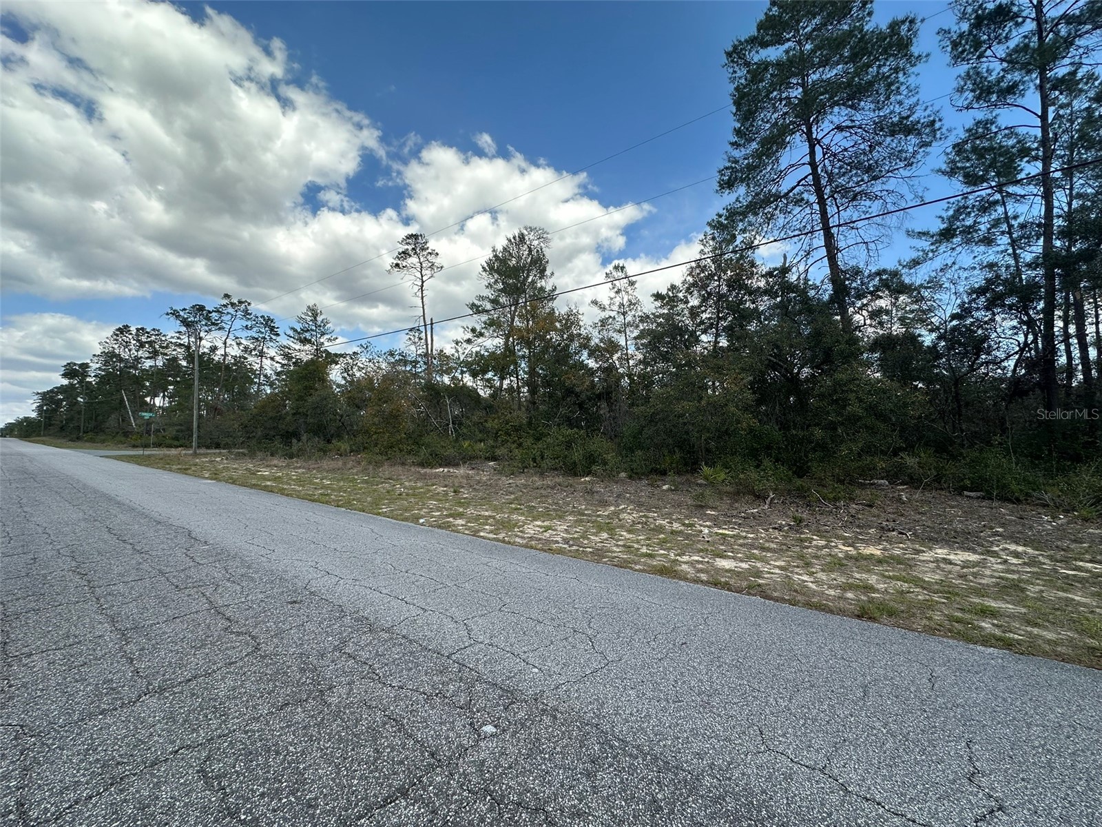 8385 N Farrington Drive Citrus Springs FL 34433 OM719811 image7