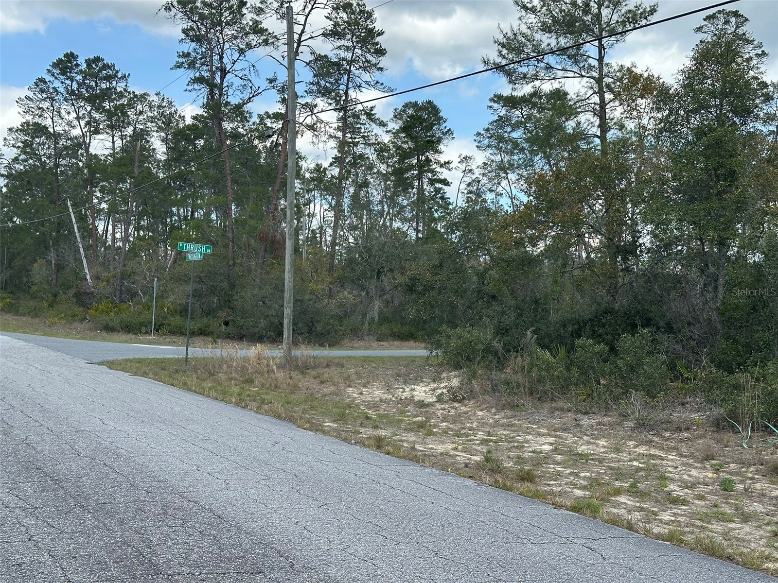 8385 N Farrington Drive Citrus Springs FL 34433 OM719811 image8