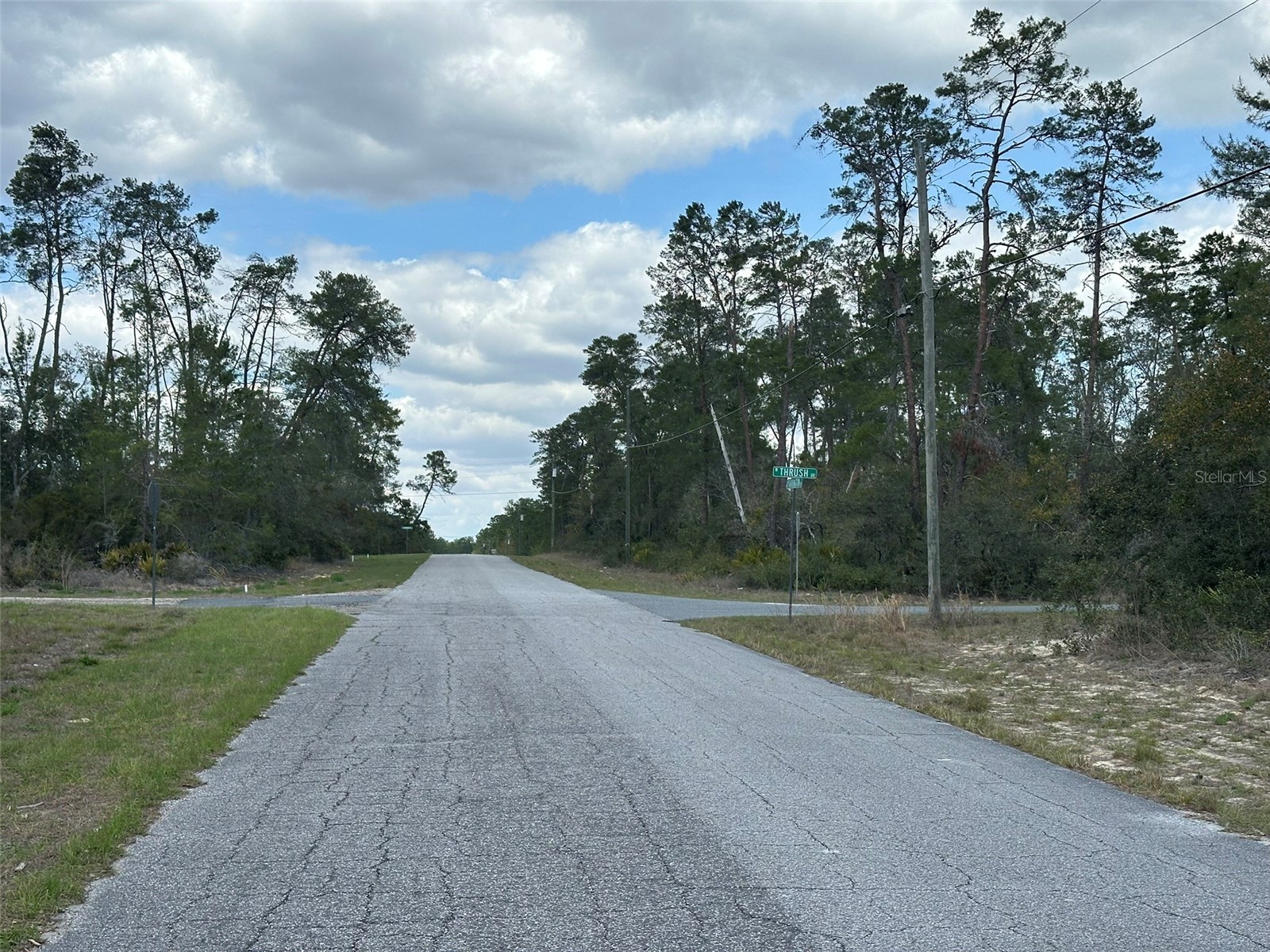 8385 N Farrington Drive Citrus Springs FL 34433 OM719811 image9