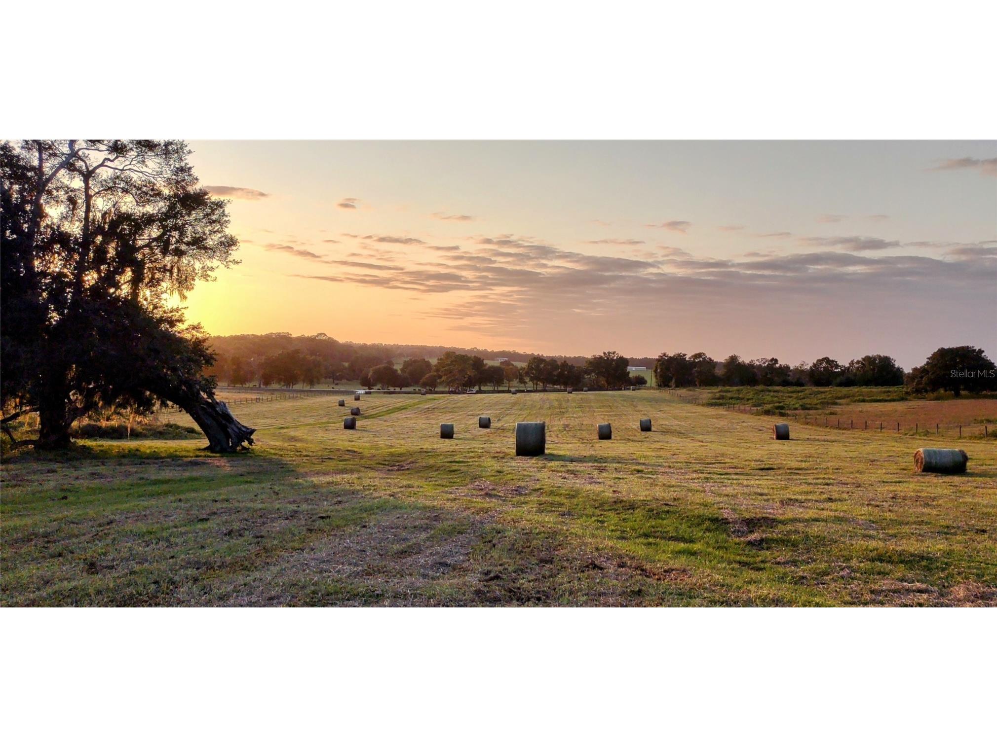 8385 S Pleasant Grove Road Inverness FL 34452 TB8469513 image1