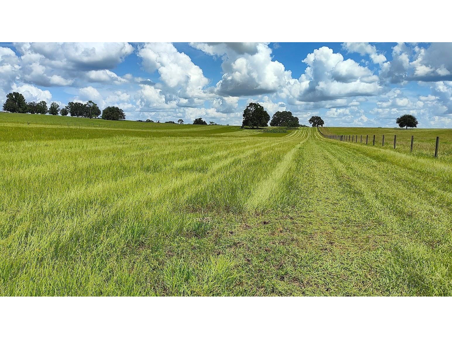 8385 S Pleasant Grove Road Inverness FL 34452 TB8469513 image5