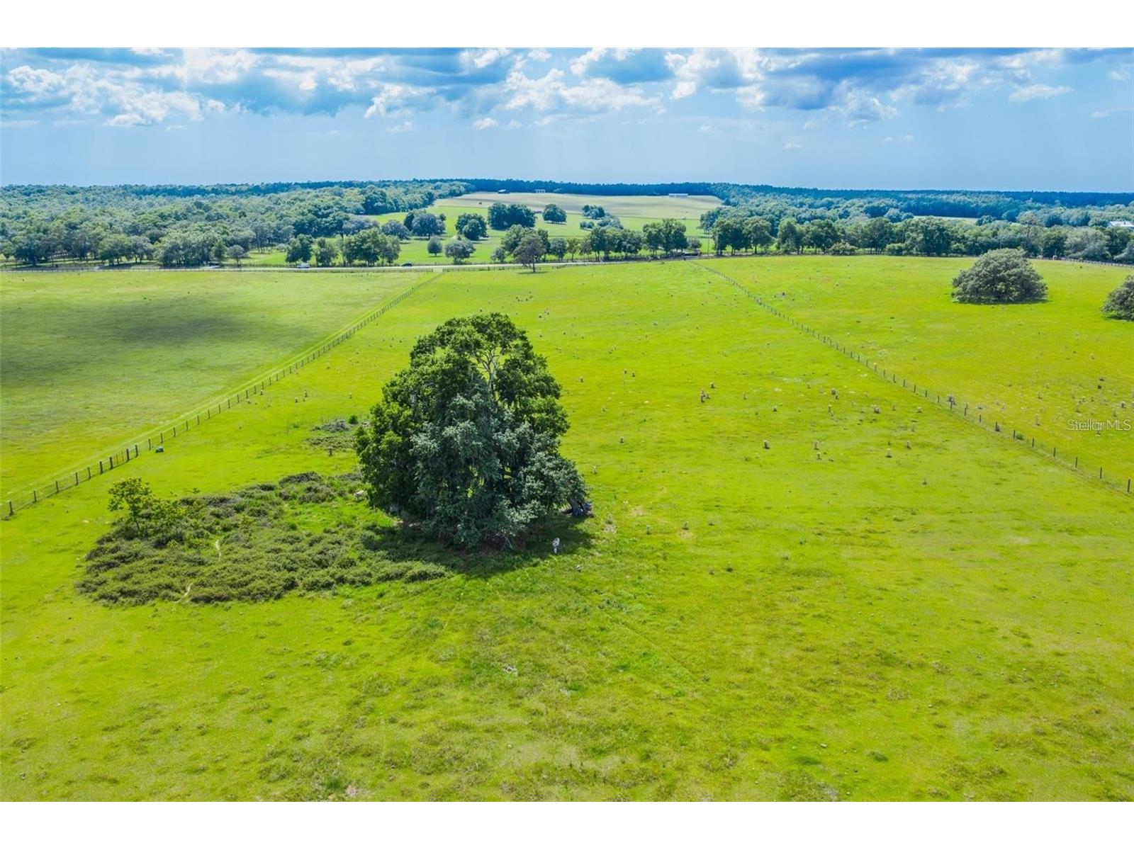 8385 S Pleasant Grove Road Inverness FL 34452 TB8469513 image6