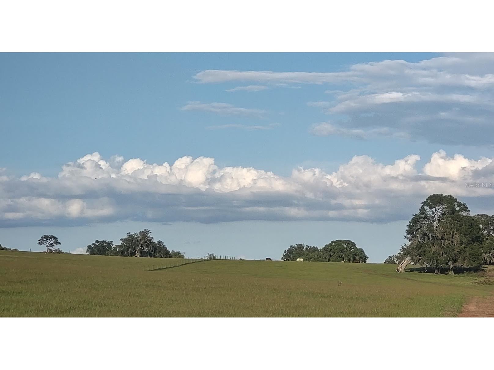 8385 S Pleasant Grove Road Inverness FL 34452 TB8469513 image7