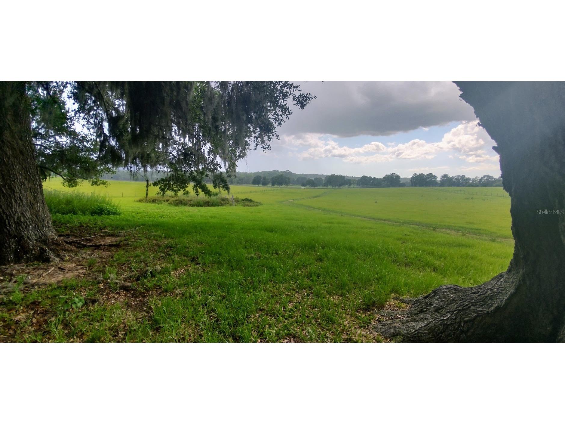 8385 S Pleasant Grove Road Inverness FL 34452 TB8469513 image8