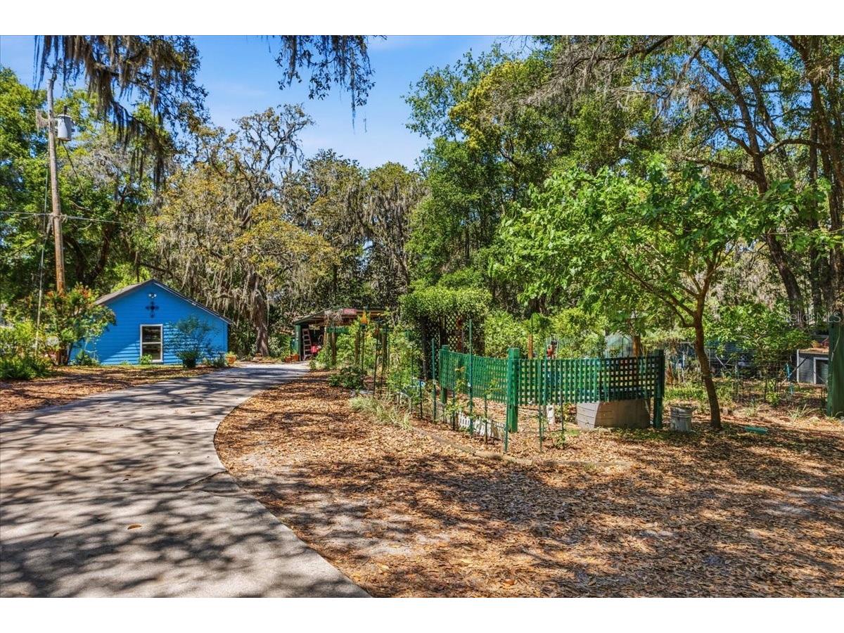8386 Austin Road Melrose FL 32666 - LAKE LILY GC539637 image59
