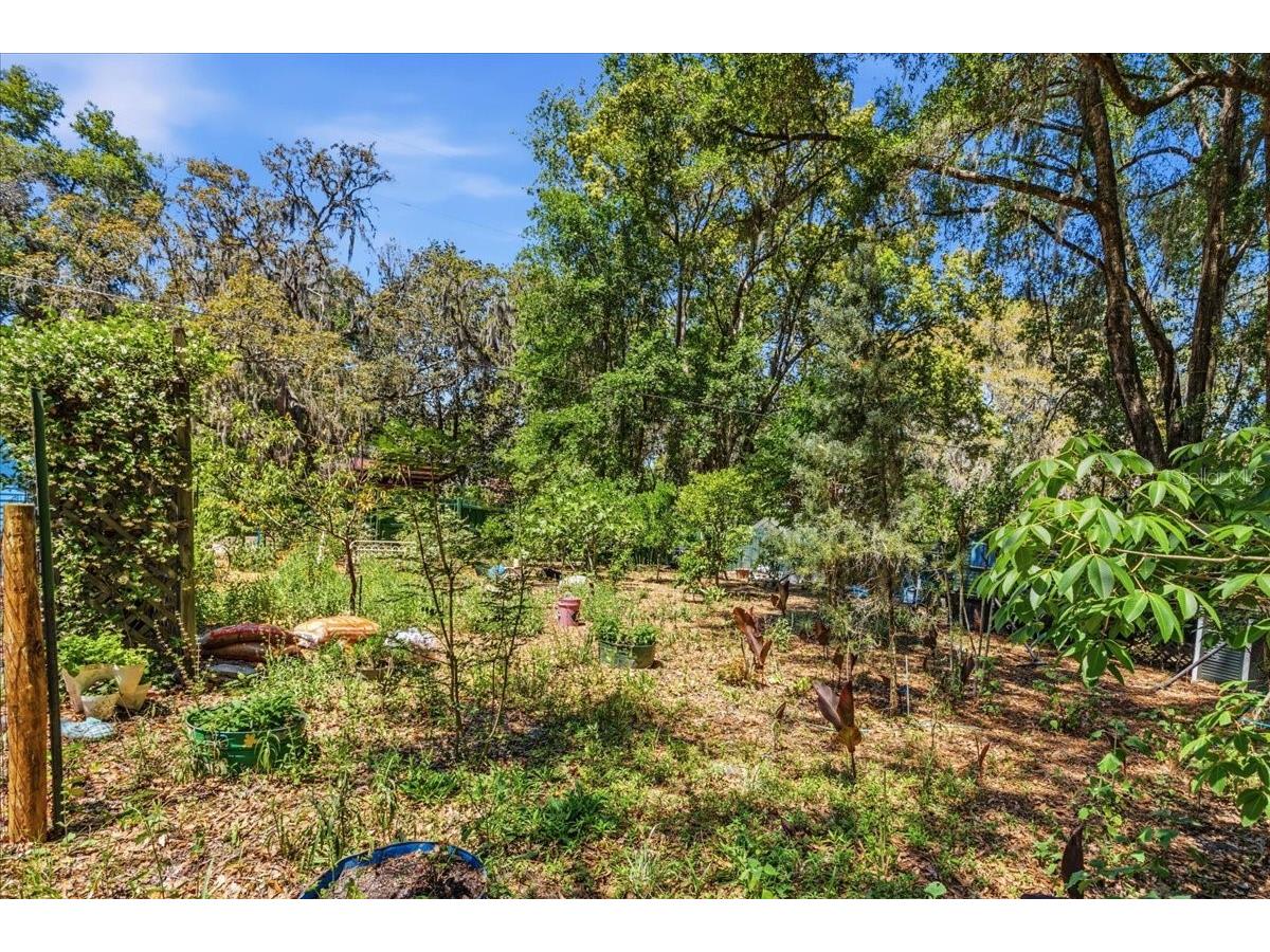 8386 Austin Road Melrose FL 32666 - LAKE LILY GC539637 image66