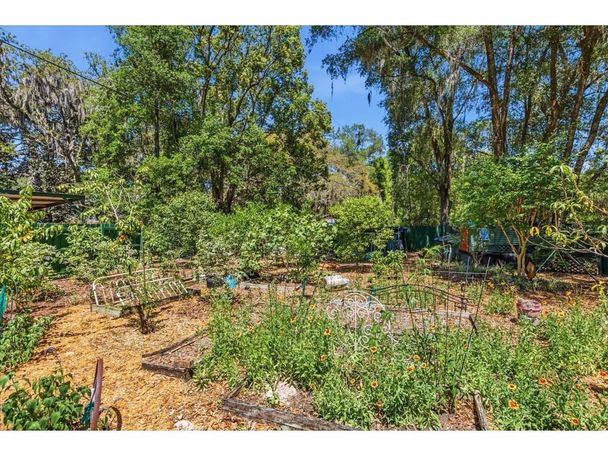 8386 Austin Road Melrose FL 32666 - LAKE LILY GC539637 image67
