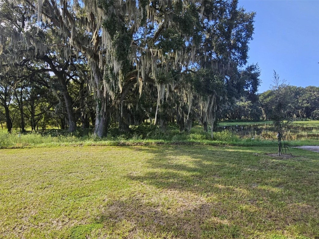 8387 Gower Trail Wildwood FL 34785 OM702044 image21