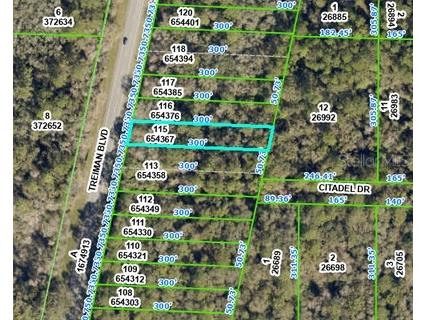 8388 Treiman Boulevard Webster FL 33597 OM703343 image2