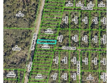 8388 Treiman Boulevard Webster FL 33597 OM703343 image3