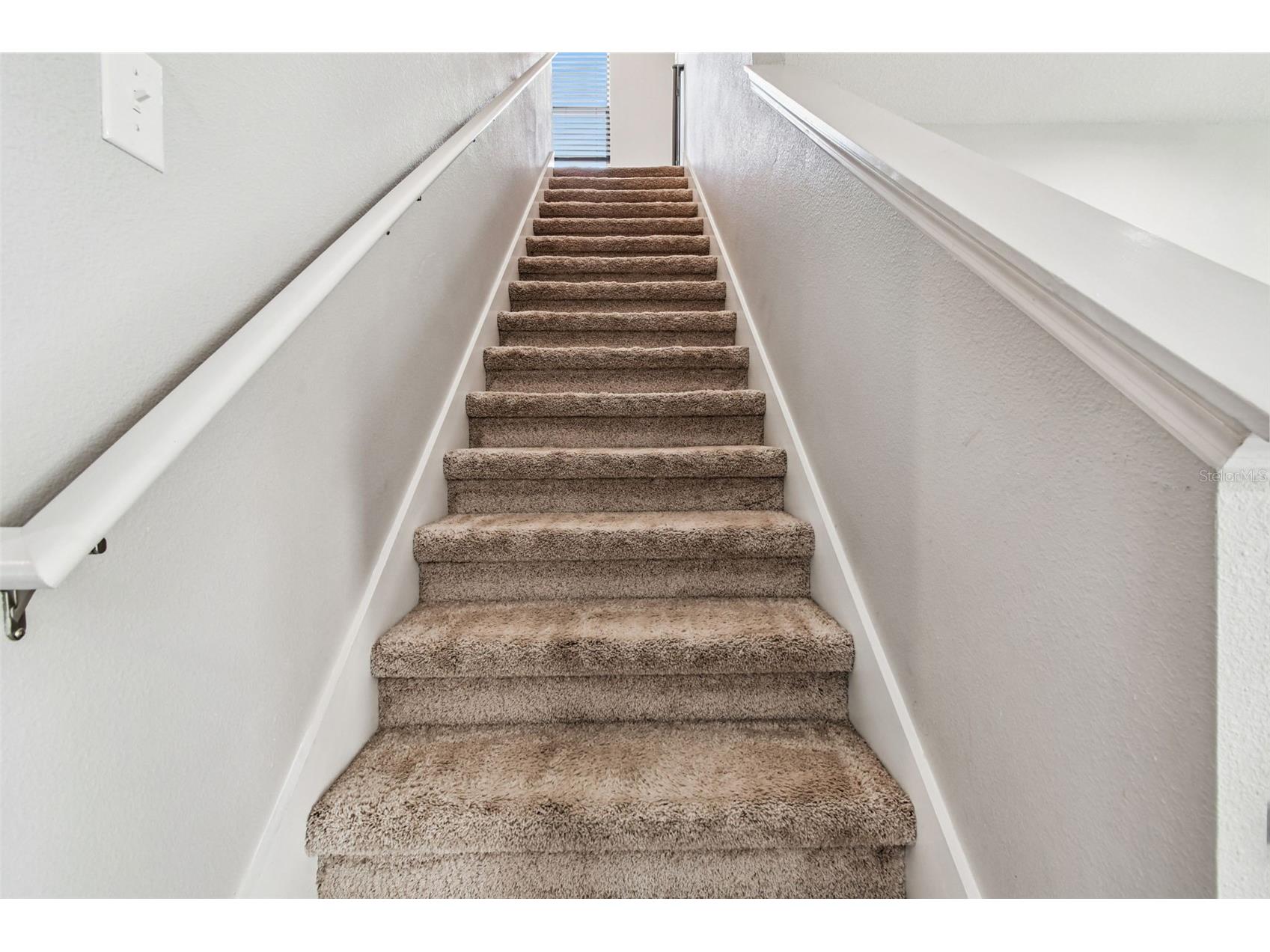 8389 Bower Bass Circle Wesley Chapel FL 33545 TB8455360 image22