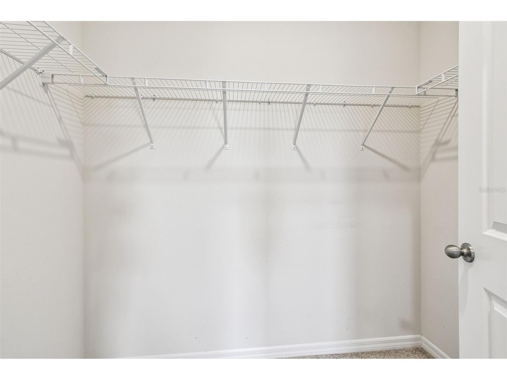 8389 Bower Bass Circle Wesley Chapel FL 33545 TB8455360 image27