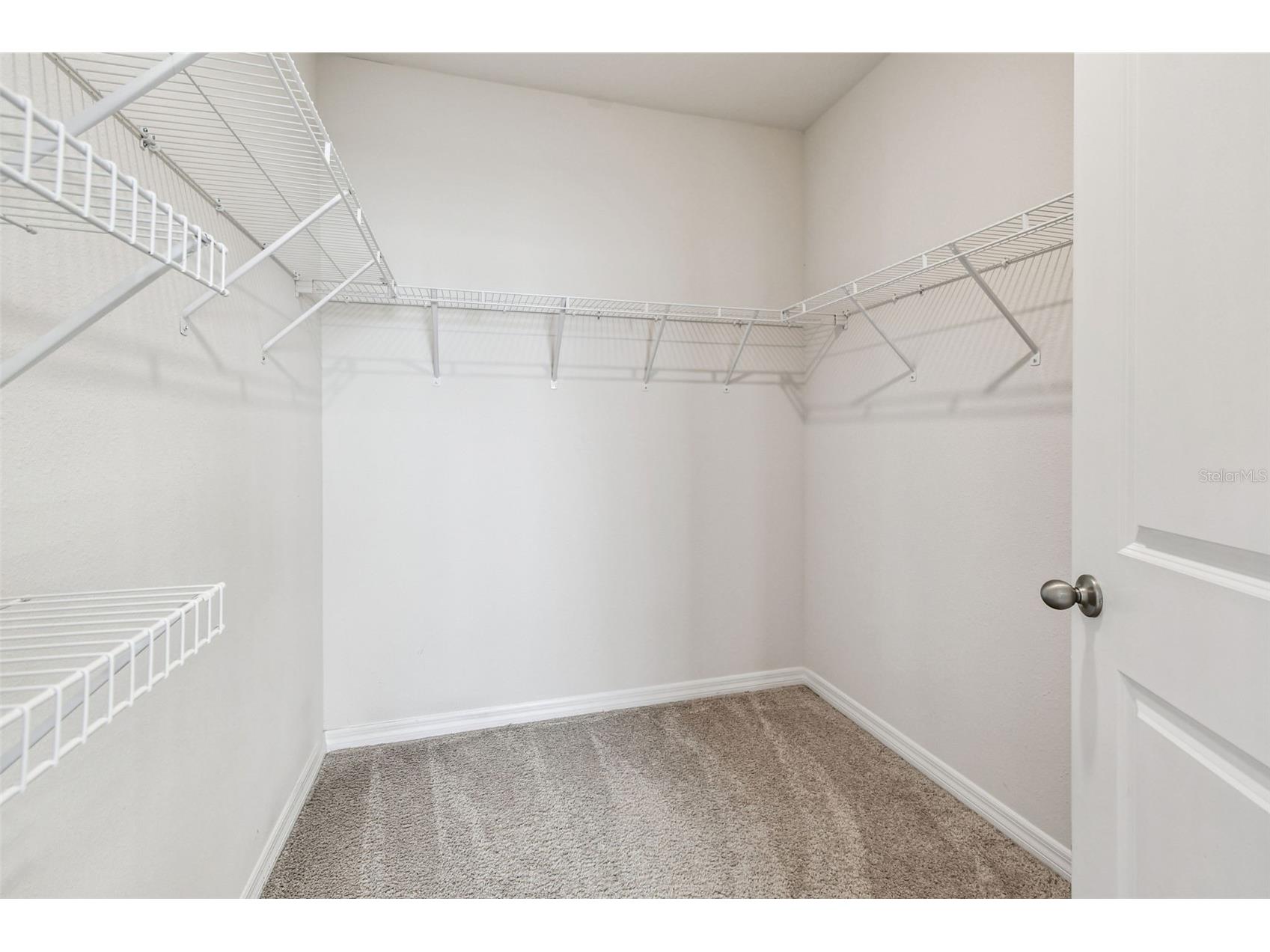 8389 Bower Bass Circle Wesley Chapel FL 33545 TB8455360 image31