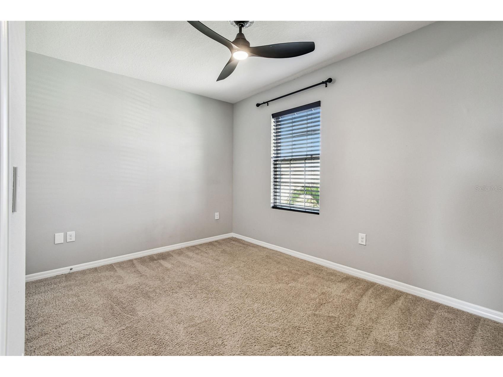 8389 Bower Bass Circle Wesley Chapel FL 33545 TB8455360 image37