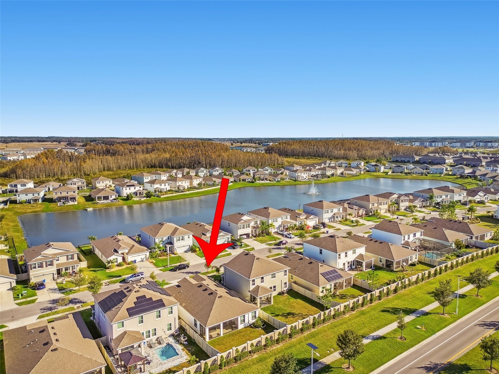 8389 Bower Bass Circle Wesley Chapel FL 33545 TB8455360 image50