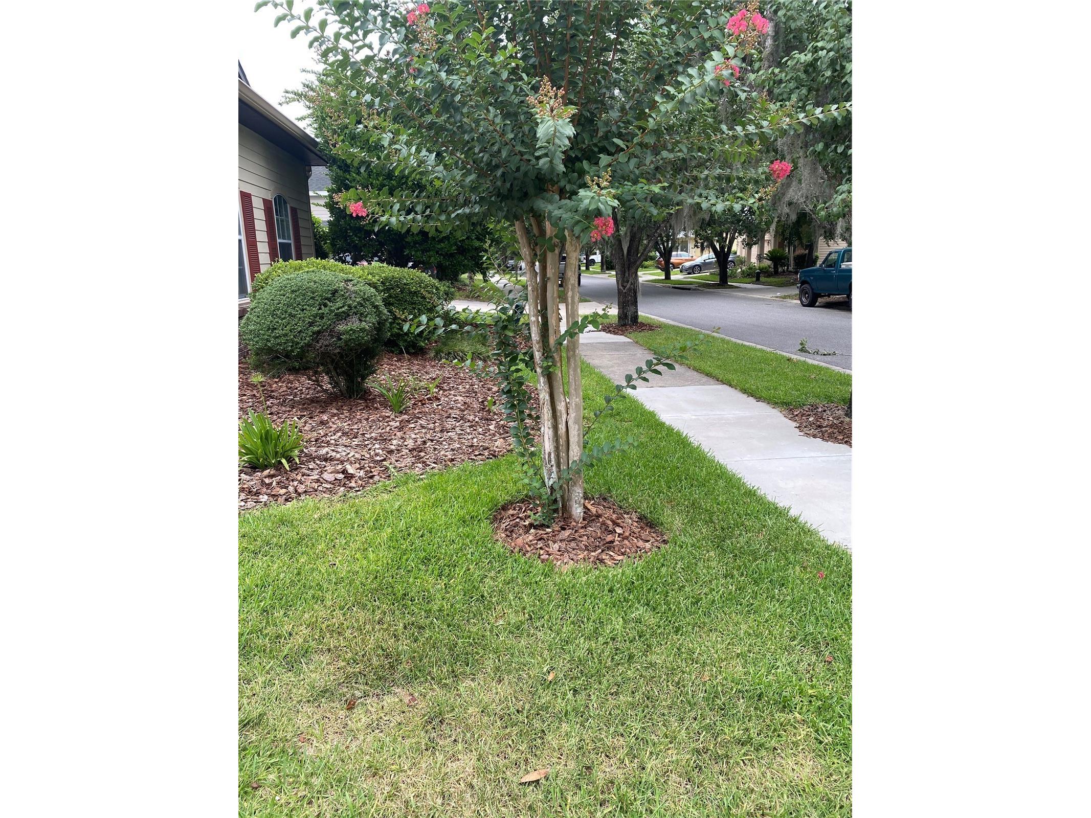 8389 SW 80th Place Gainesville FL 32608 GC540981 image3