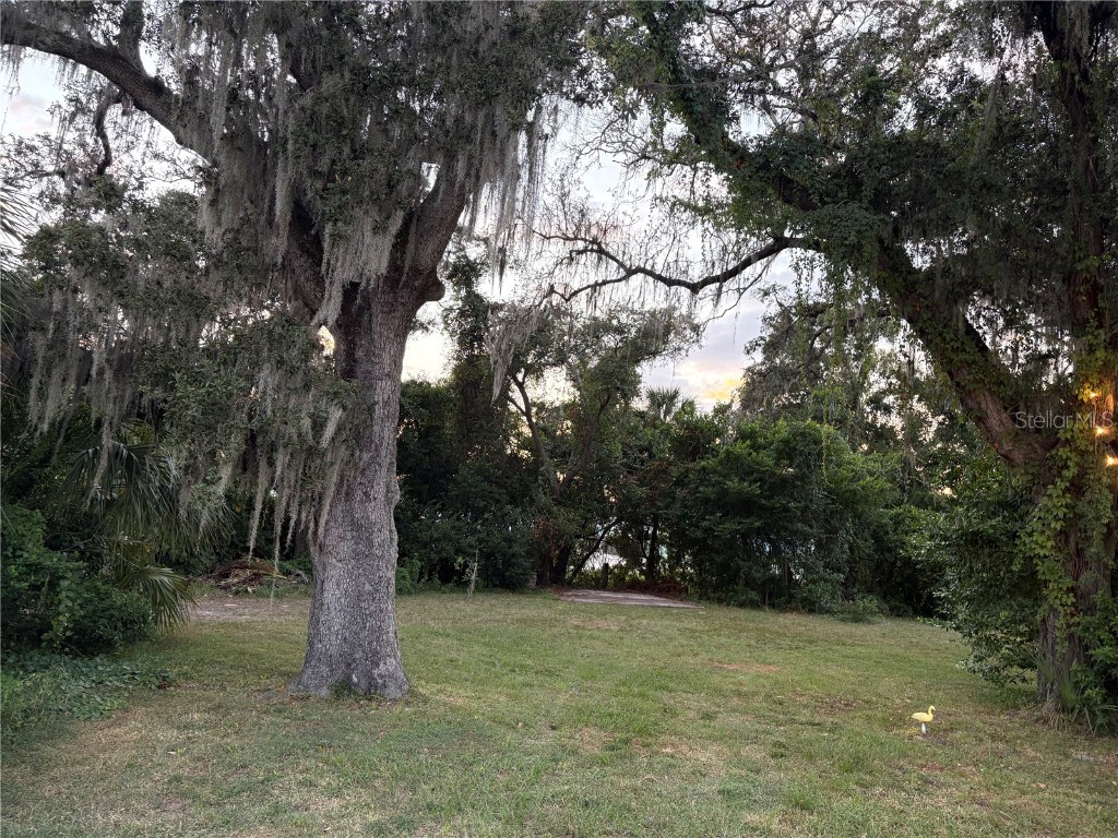 839 3rd Street N Safety Harbor FL 34695 TB8433516 image35