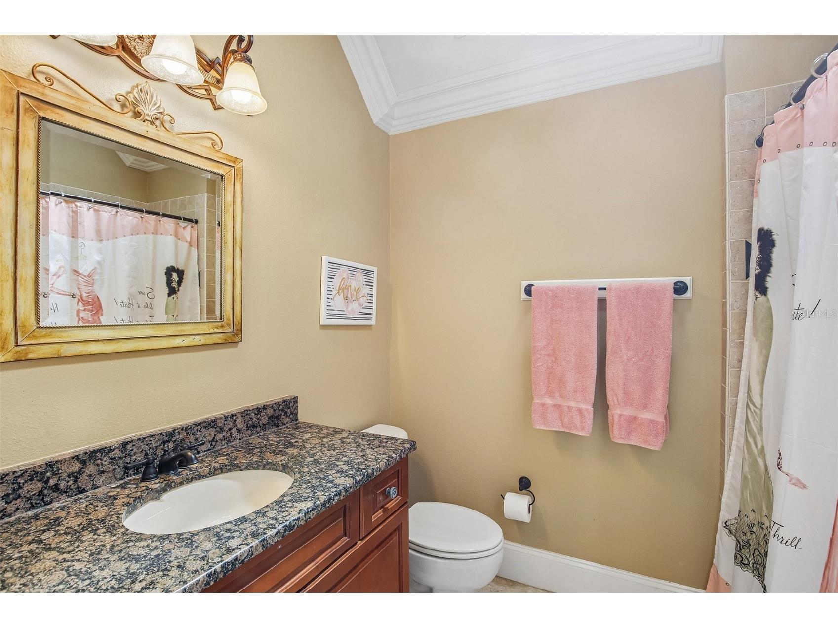 839 Ashton Oaks Circle Lakeland FL 33813 L4961734 image24
