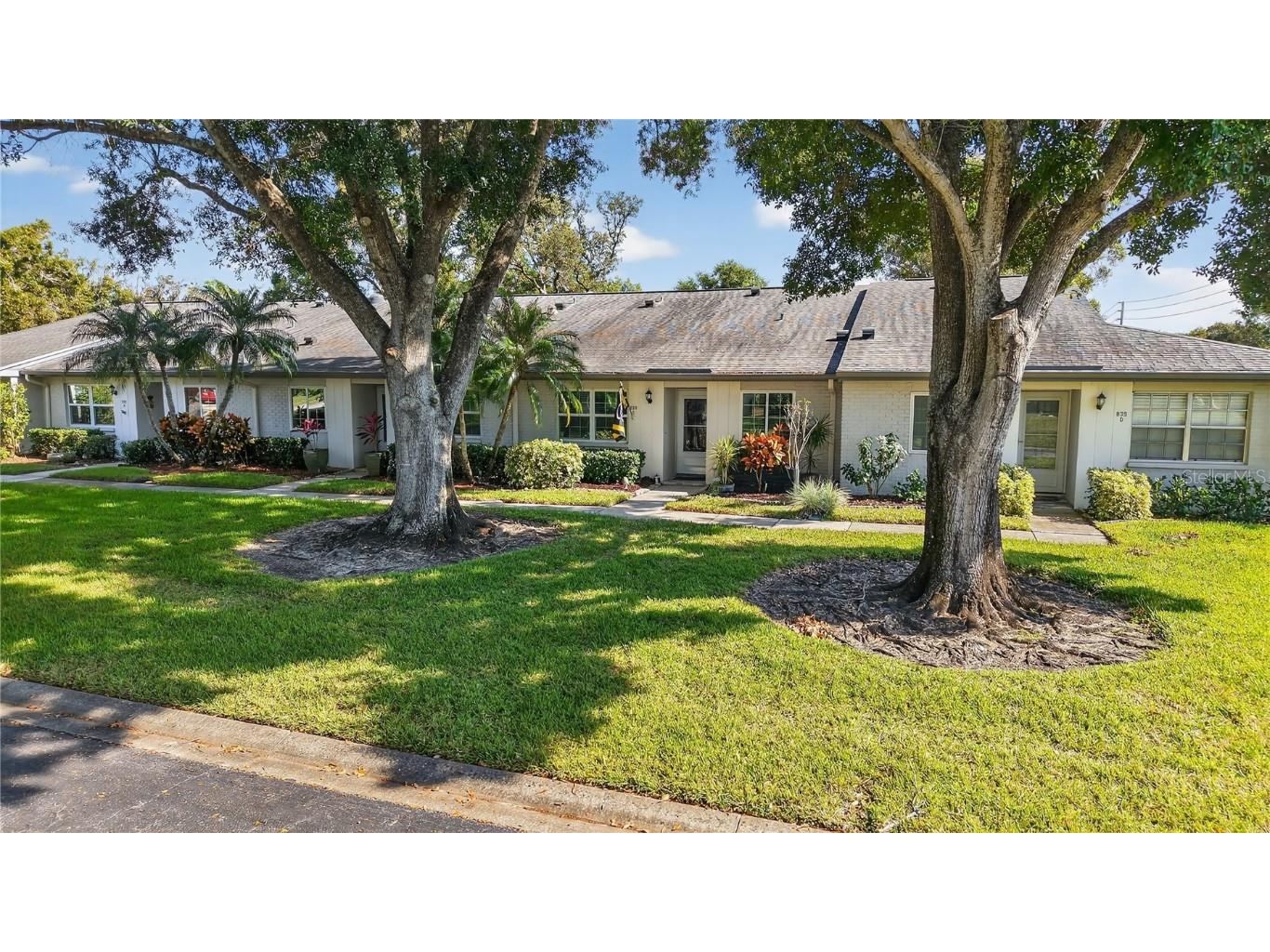 839 Glen More Ct #C Palm Harbor FL 34684 TB8449340 image1