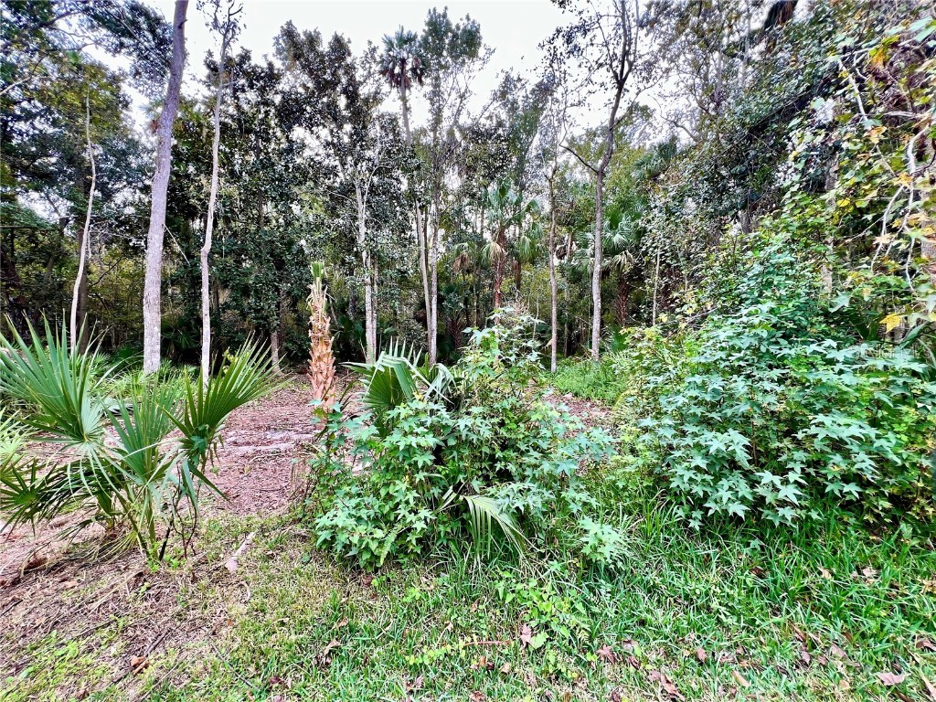 839 Lake Evalyn Drive Celebration FL 34747 O6364150 image20