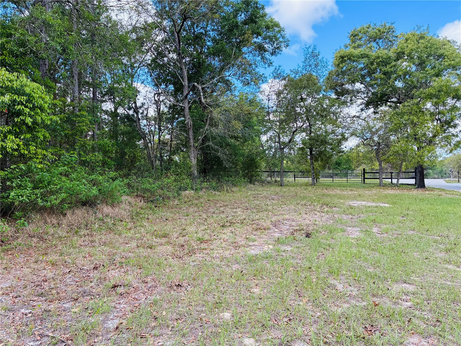 8390 Langworthy Drive Brooksville FL 34613 W7884665 image13