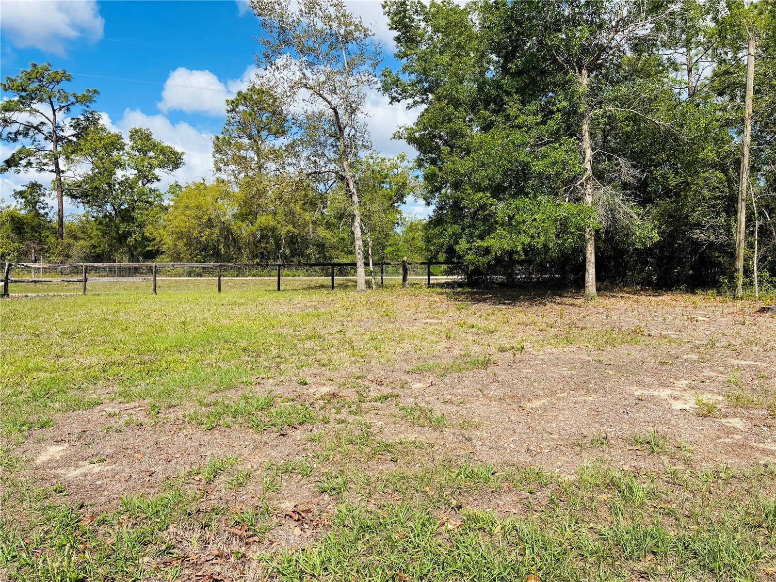 8390 Langworthy Drive Brooksville FL 34613 W7884665 image14