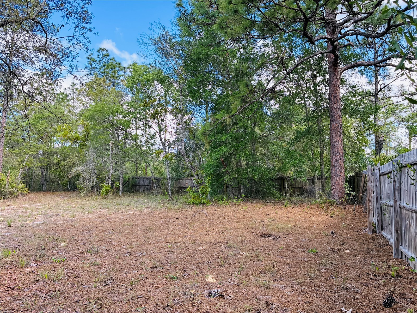 8390 Langworthy Drive Brooksville FL 34613 W7884665 image15
