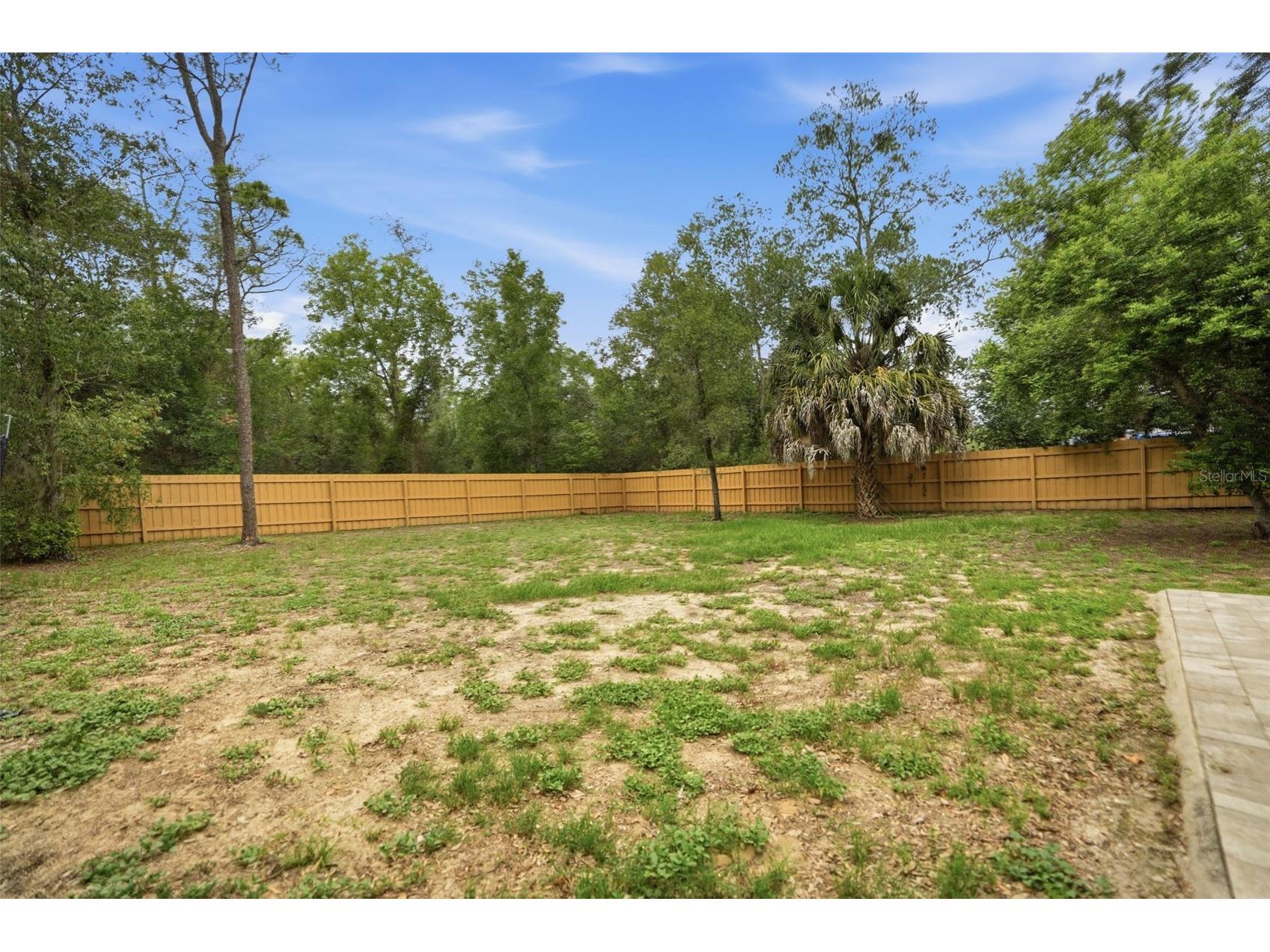 8391 Weeping Wiilow Brooksville FL 34613 TB8515196 image38