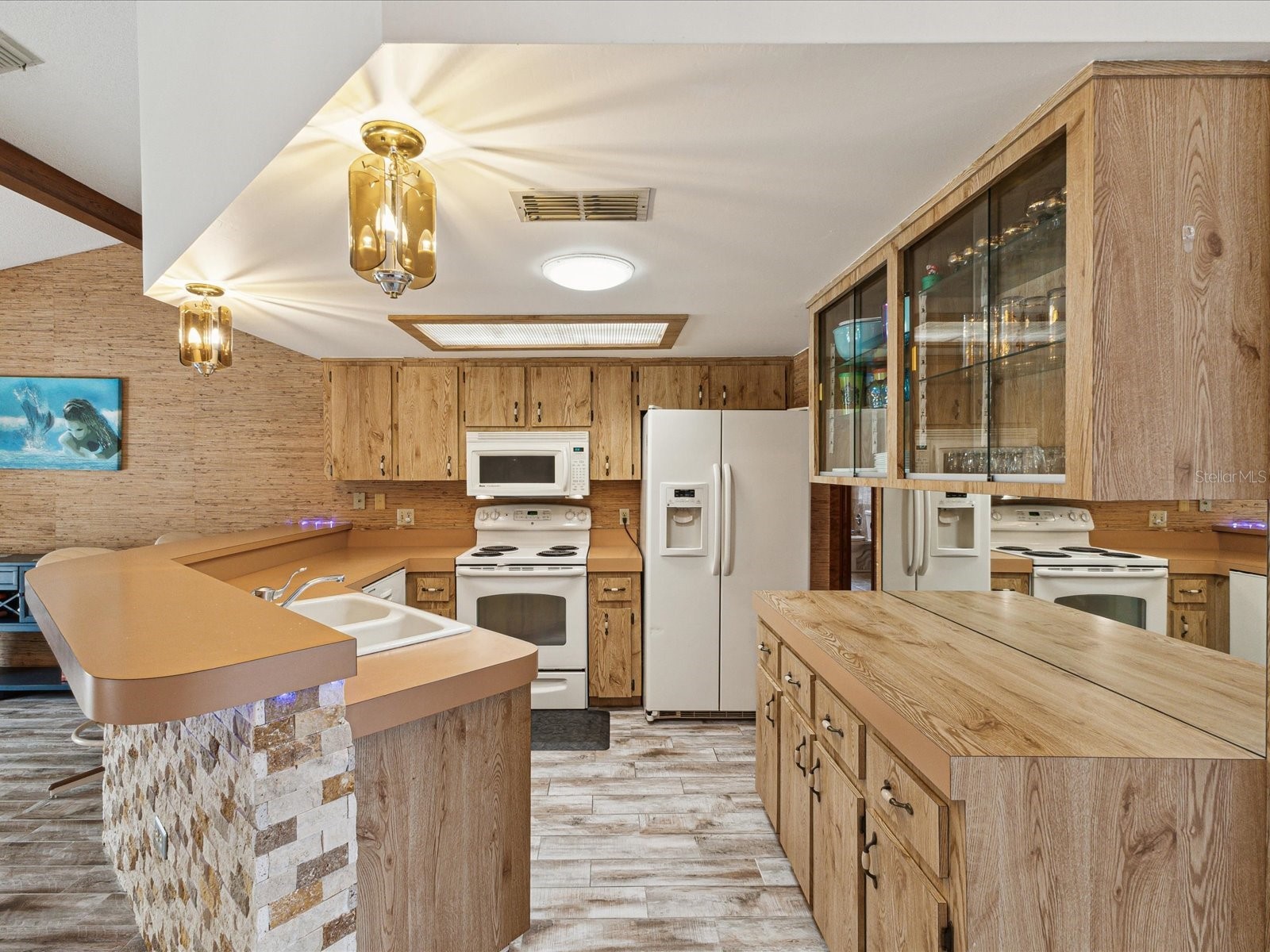 8393 Delaware Drive Weeki Wachee FL 34607 W7875520 image11