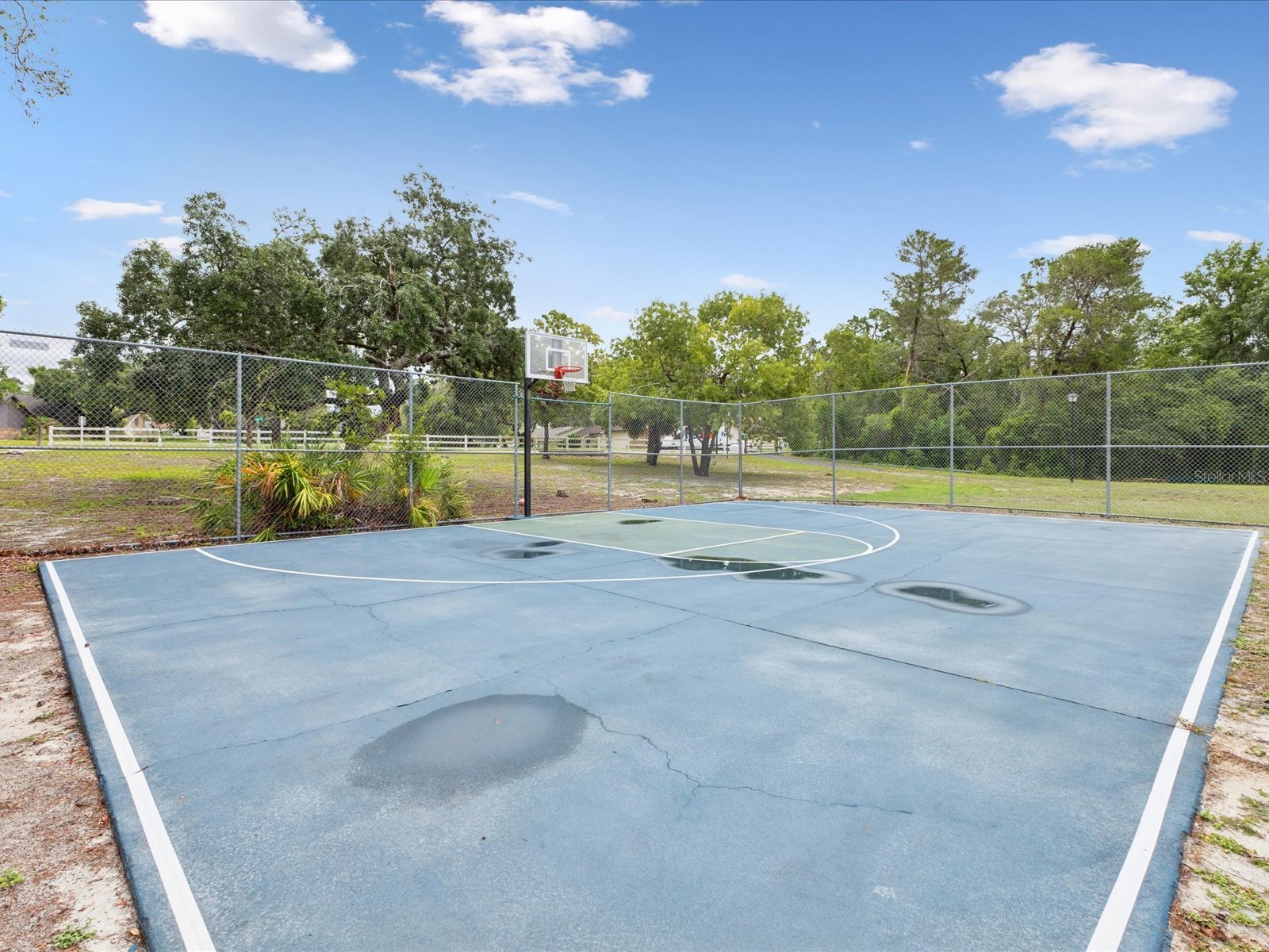 8393 Delaware Drive Weeki Wachee FL 34607 W7875520 image53