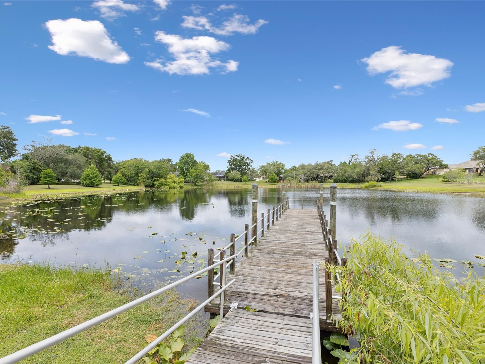 8393 Delaware Drive Weeki Wachee FL 34607 W7875520 image59