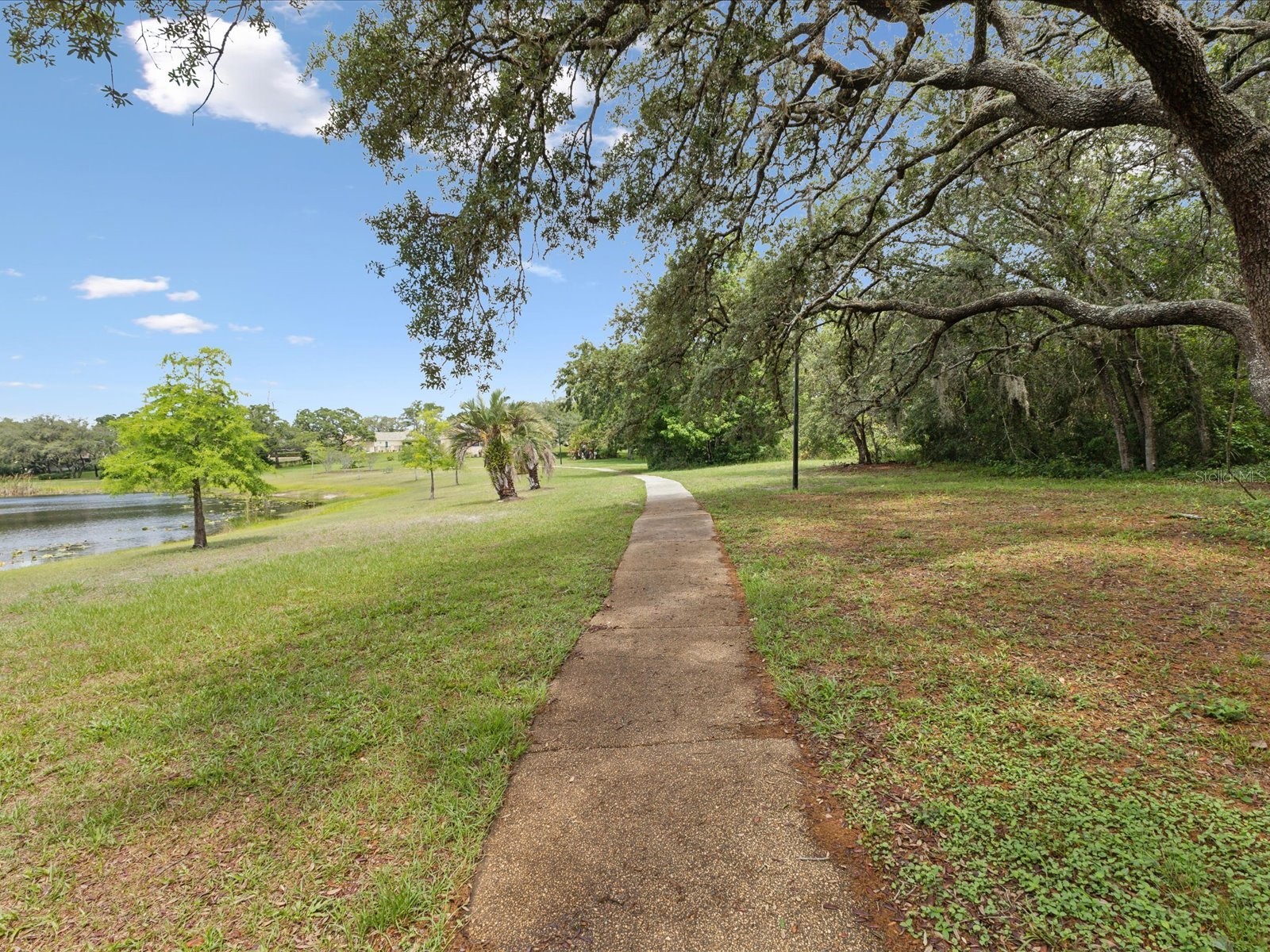 8393 Delaware Drive Weeki Wachee FL 34607 W7875520 image61